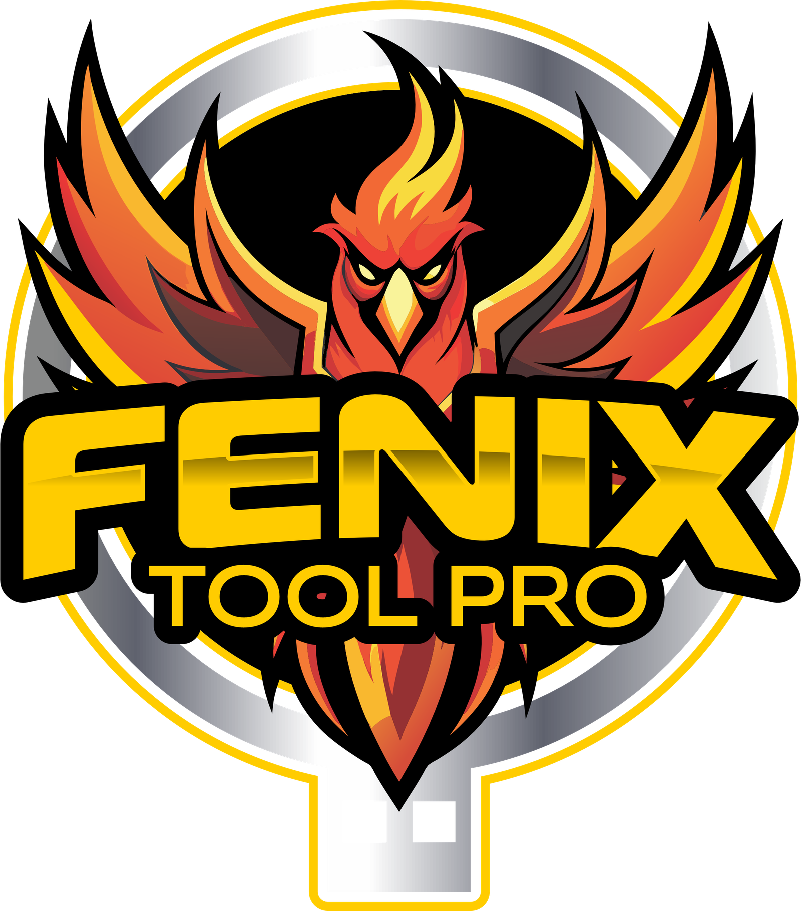 FÊNIX TOOL PRO ativação 1 Mês